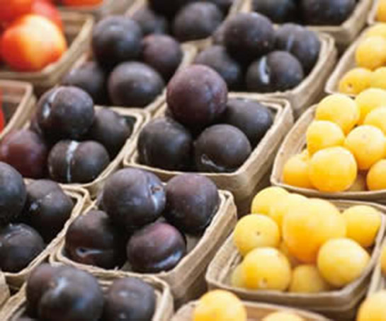 B17 Vitamini Kanser Belirtileri ve Tedavisi